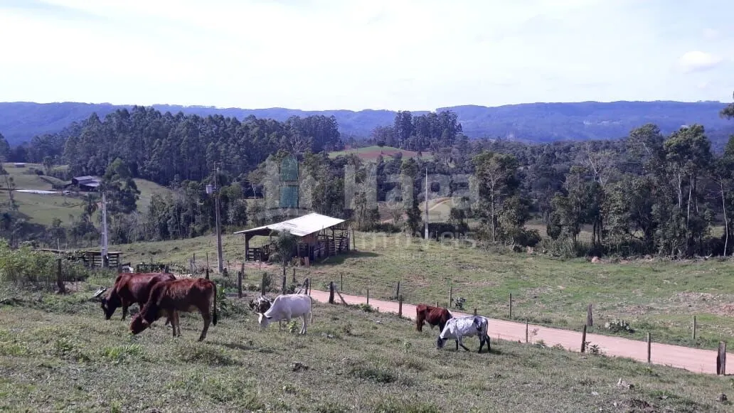 Fazenda à venda de 51 ha em Doutor Pedrinho, SC, Brasil
