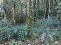 Sítio à venda de 15 ha em São José dos Campos, SP, Brasil