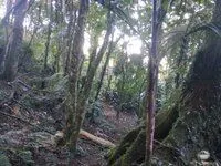 Sítio à venda de 15 ha em São José dos Campos, SP, Brasil