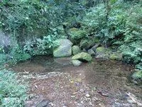 Sítio à venda de 15 ha em São José dos Campos, SP, Brasil