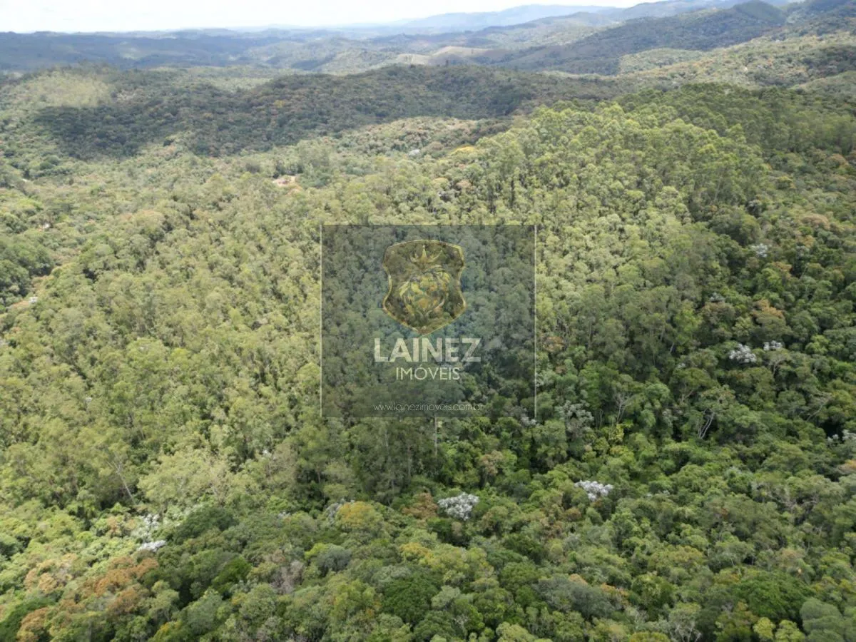 Fazenda à venda de 97 ha em São Lourenço da Serra, SP, Brasil