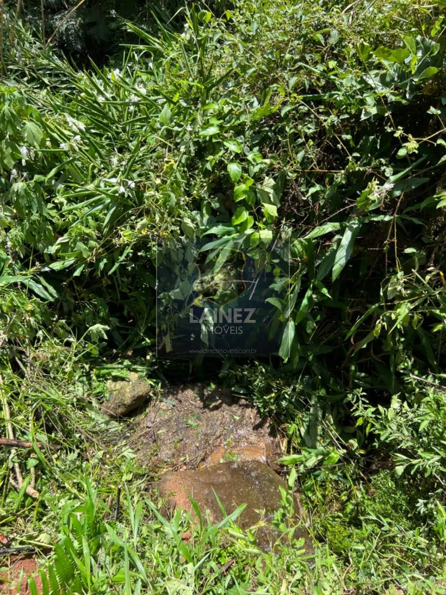 Fazenda à venda de 97 ha em São Lourenço da Serra, SP, Brasil