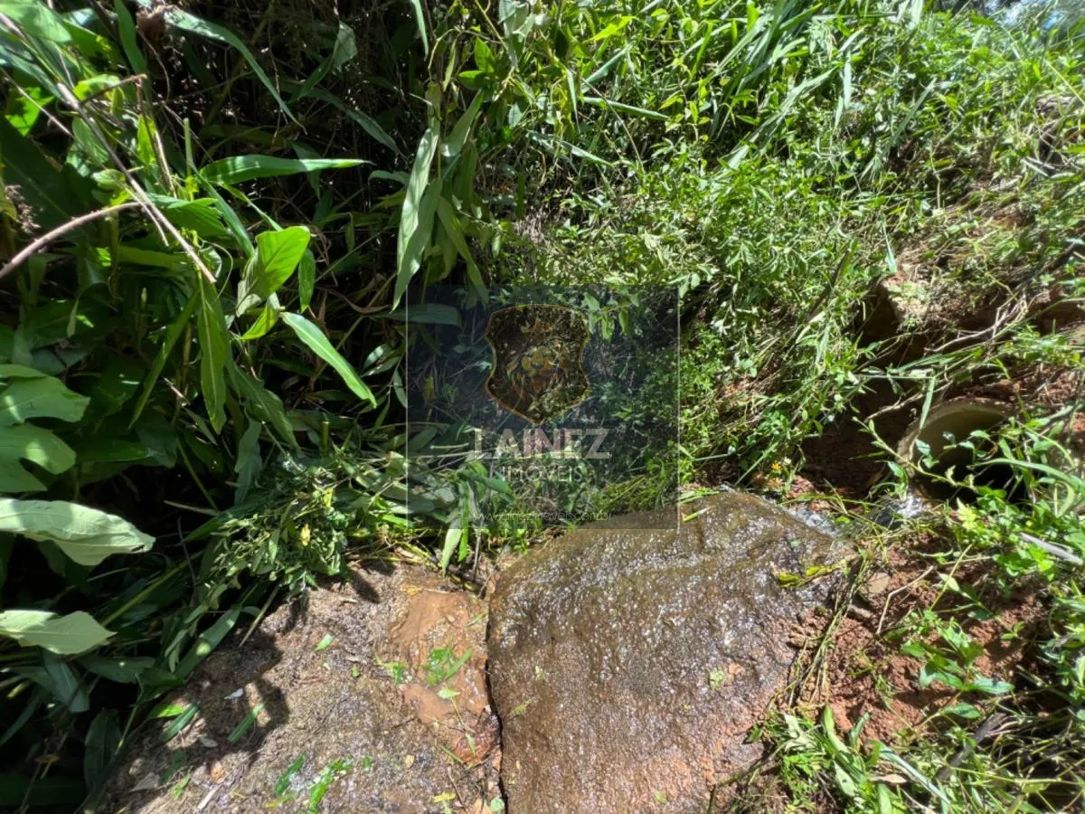 Fazenda à venda de 97 ha em São Lourenço da Serra, SP, Brasil