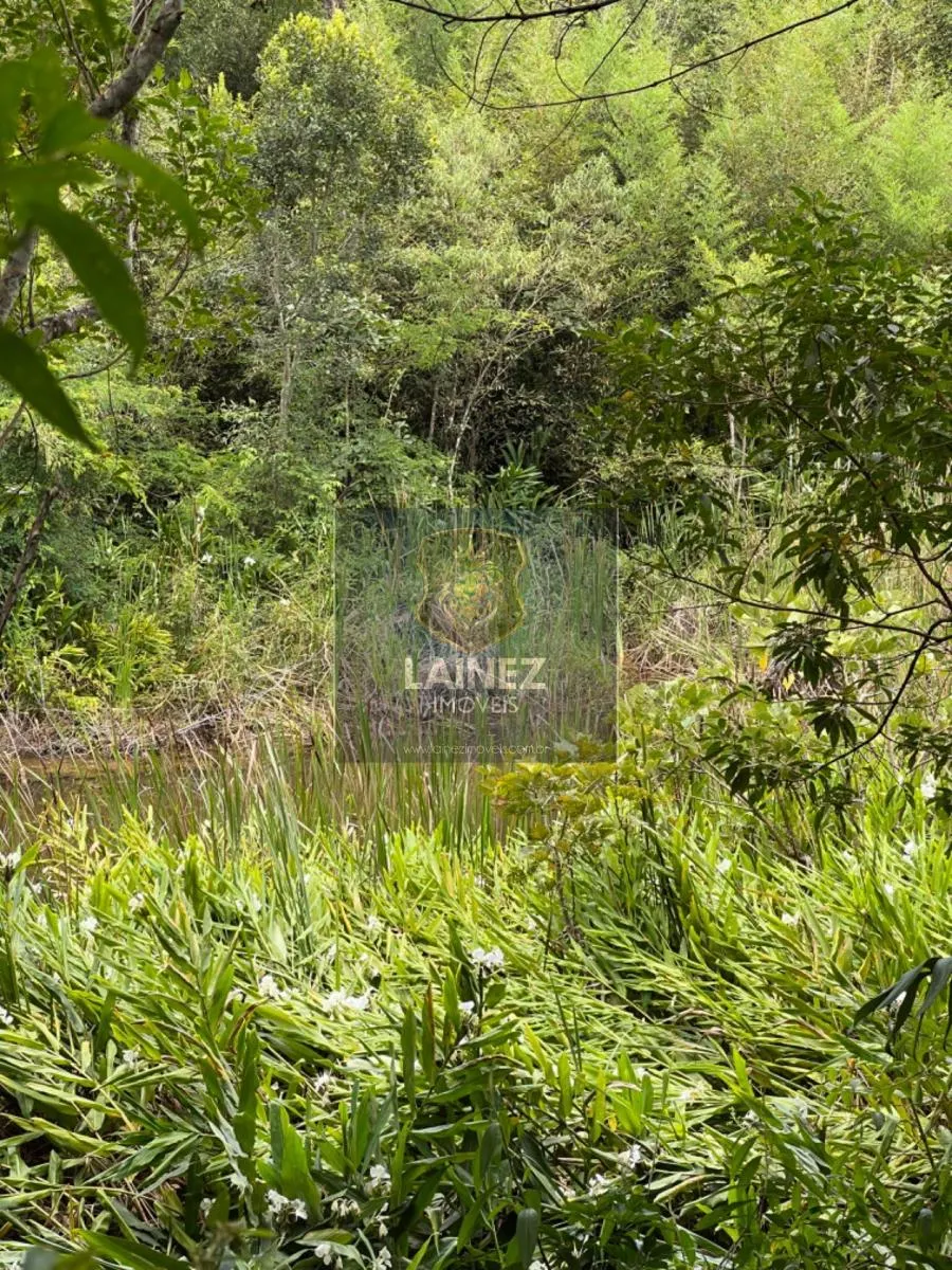 Fazenda à venda de 97 ha em São Lourenço da Serra, SP, Brasil