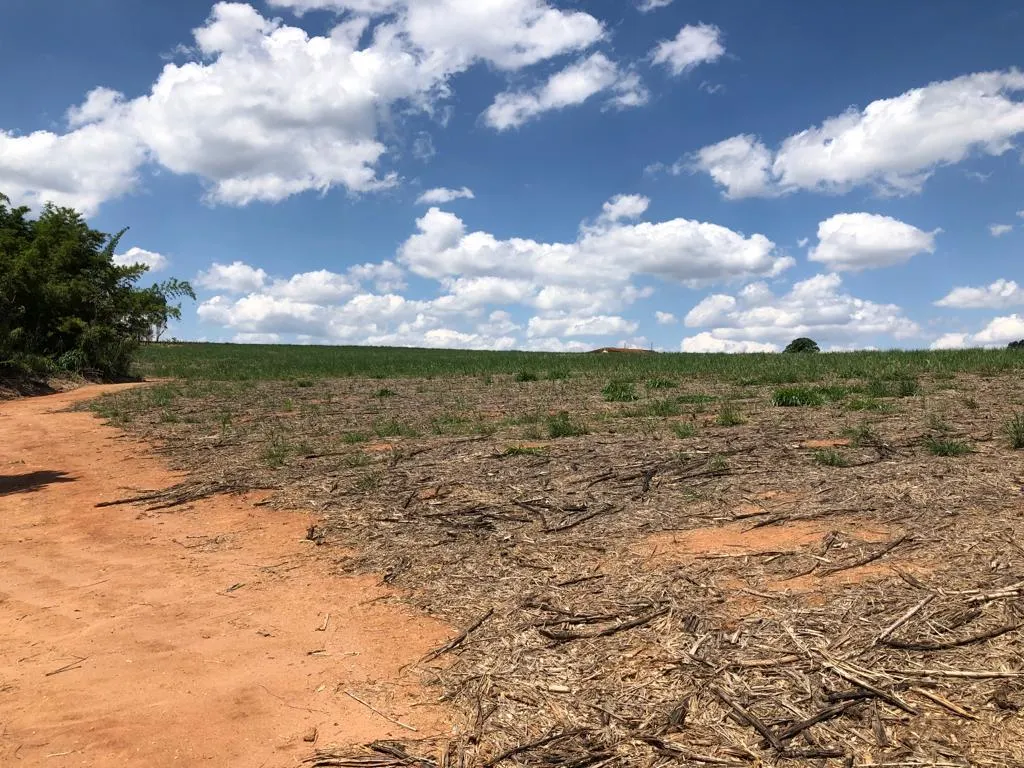 Sítio à venda de 27 ha em Mococa, SP, Brasil