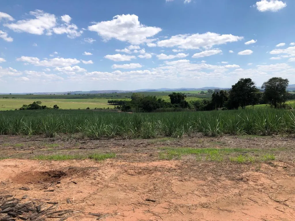Sítio à venda de 27 ha em Mococa, SP, Brasil