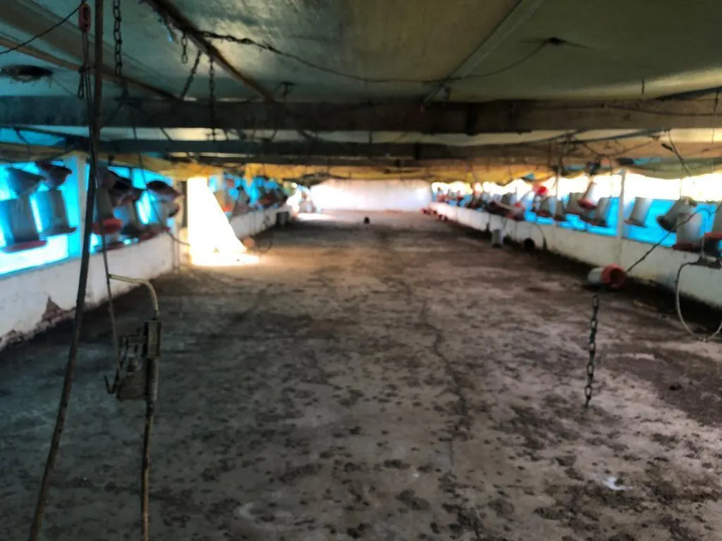 Sítio à venda de 27 ha em Mococa, SP, Brasil