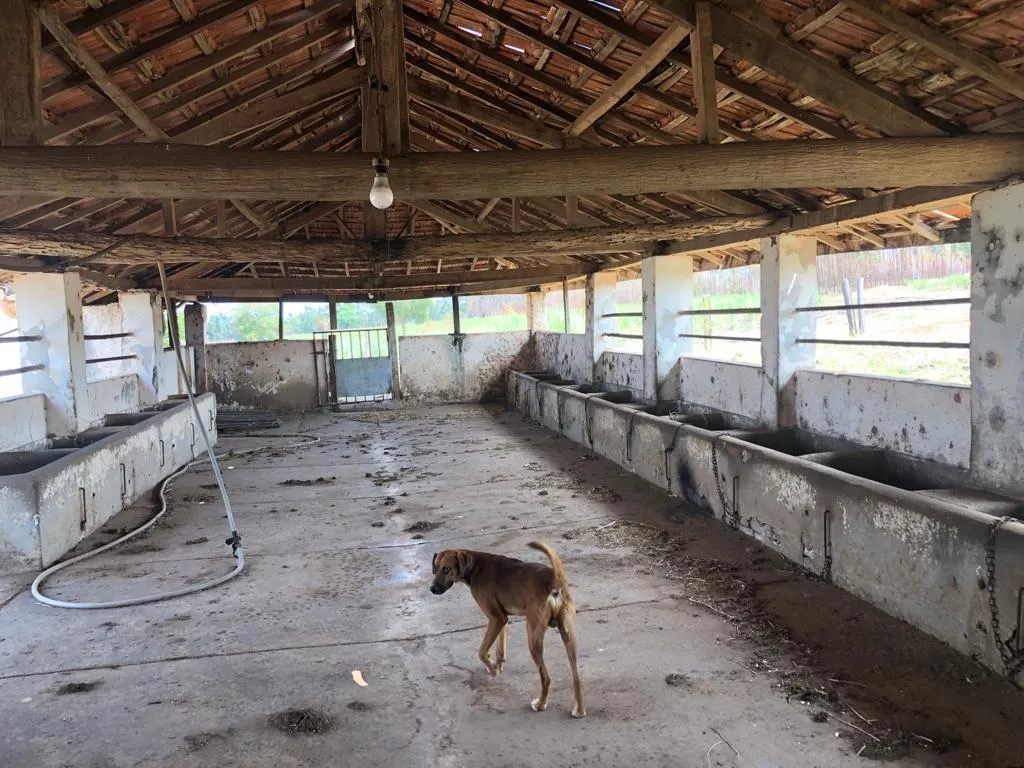 Sítio à venda de 27 ha em Mococa, SP, Brasil
