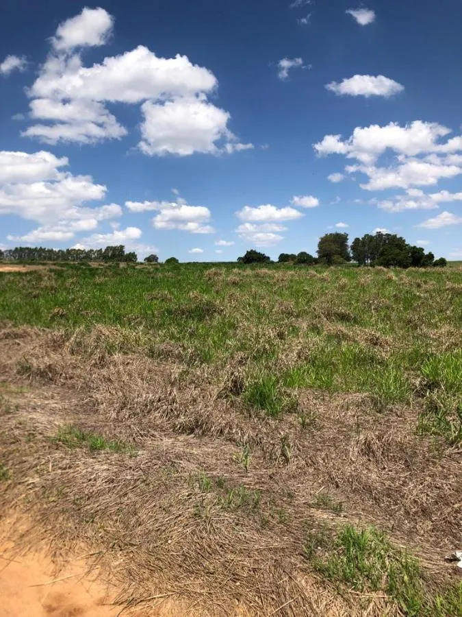 Sítio à venda de 27 ha em Mococa, SP, Brasil
