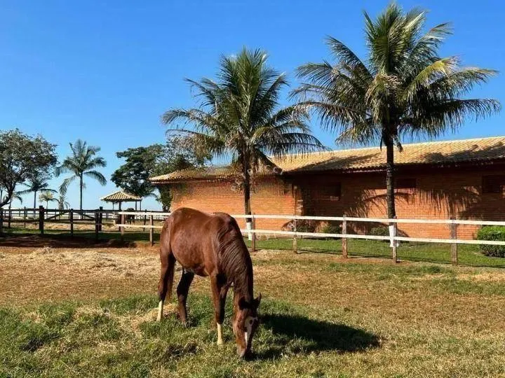 Fazenda à venda de 126 ha em Cesário Lange, SP, Brasil