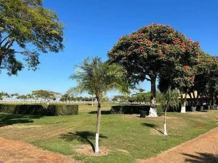 Fazenda à venda de 126 ha em Cesário Lange, SP, Brasil