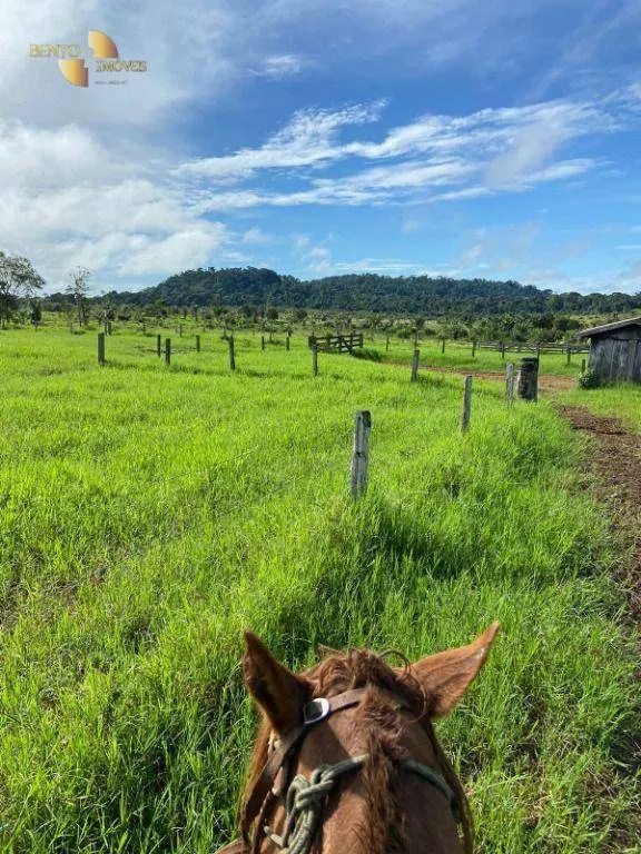 Fazenda à venda de 1.010 ha em Juruena, MT, Brasil