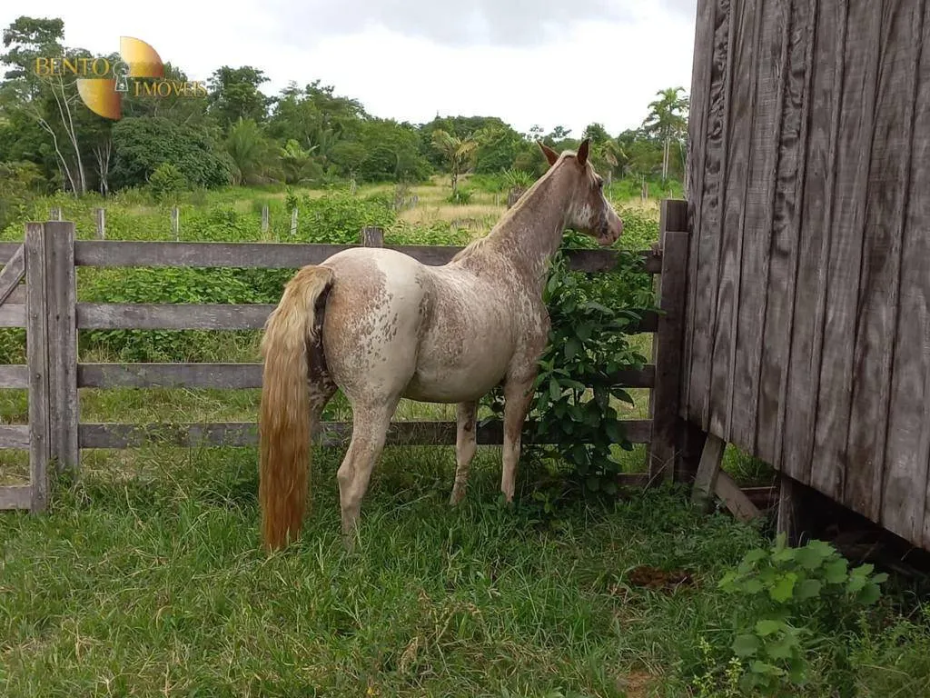 Fazenda à venda de 1.010 ha em Juruena, MT, Brasil
