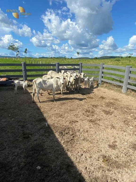 Fazenda à venda de 1.010 ha em Juruena, MT, Brasil