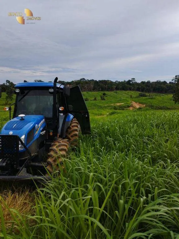 Fazenda à venda de 1.010 ha em Juruena, MT, Brasil