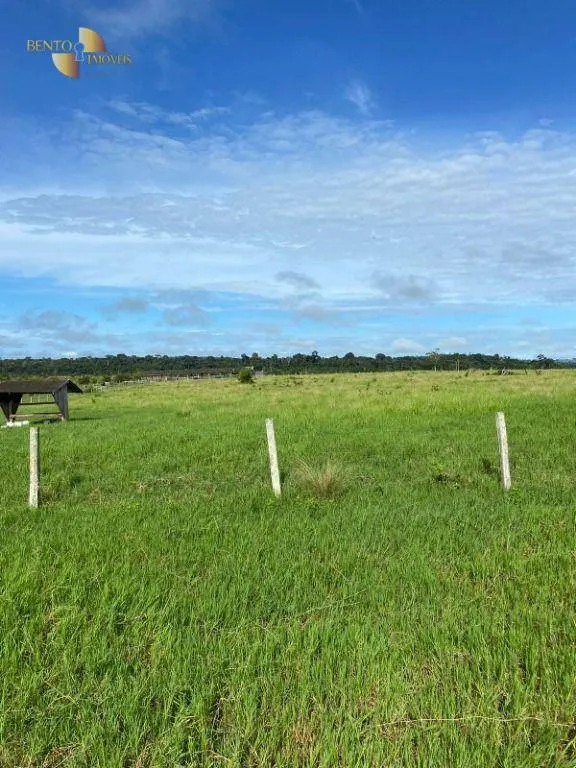 Fazenda à venda de 1.010 ha em Juruena, MT, Brasil