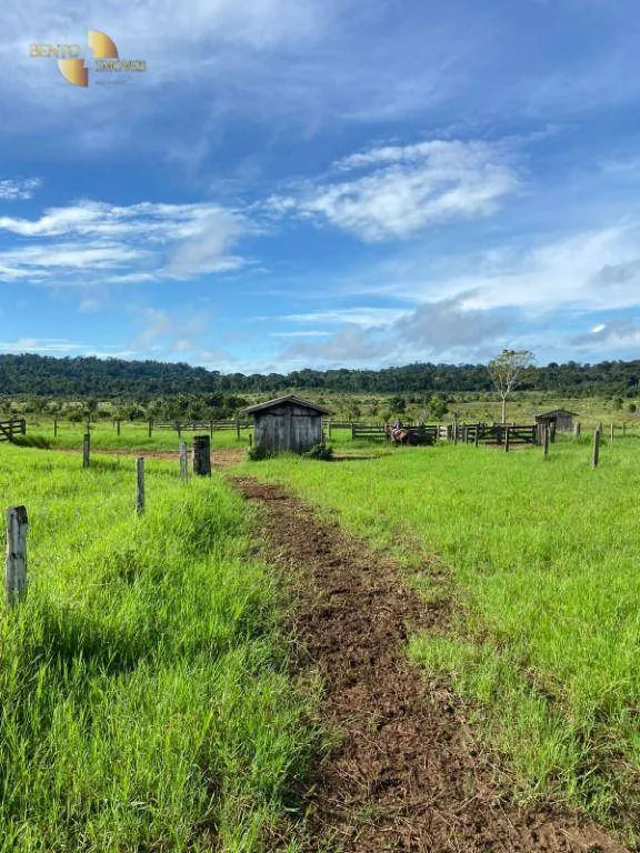 Fazenda à venda de 1.010 ha em Juruena, MT, Brasil