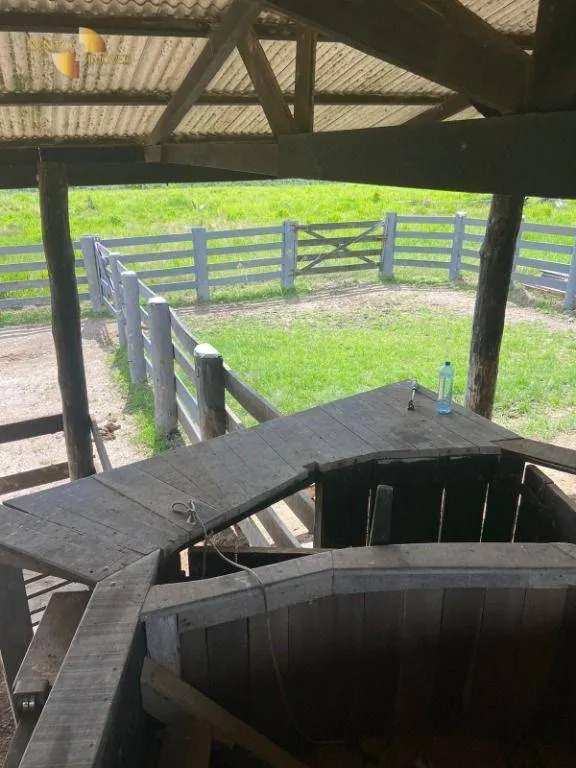 Fazenda à venda de 1.010 ha em Juruena, MT, Brasil