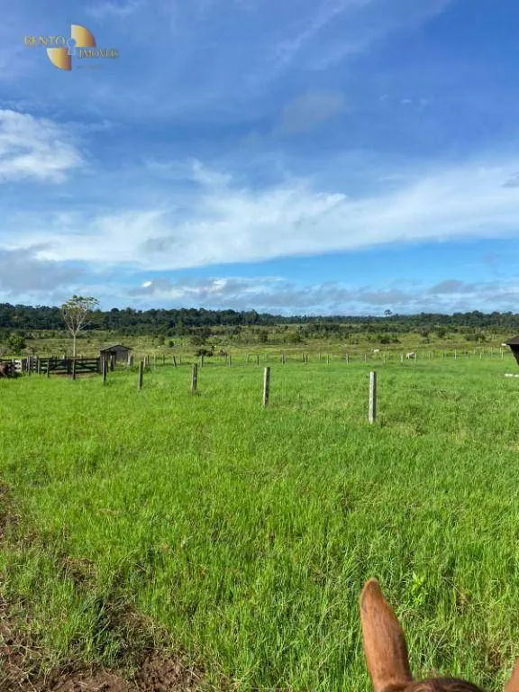 Fazenda à venda de 1.010 ha em Juruena, MT, Brasil