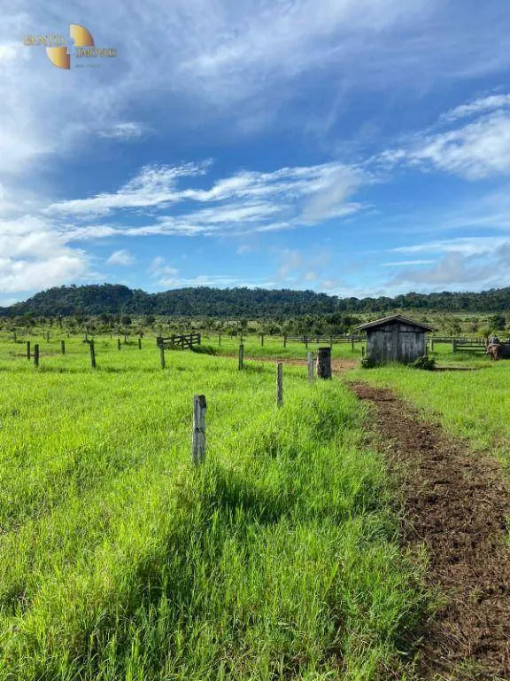 Fazenda à venda de 1.010 ha em Juruena, MT, Brasil