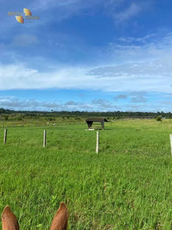 Fazenda à venda de 1.010 ha em Juruena, MT, Brasil