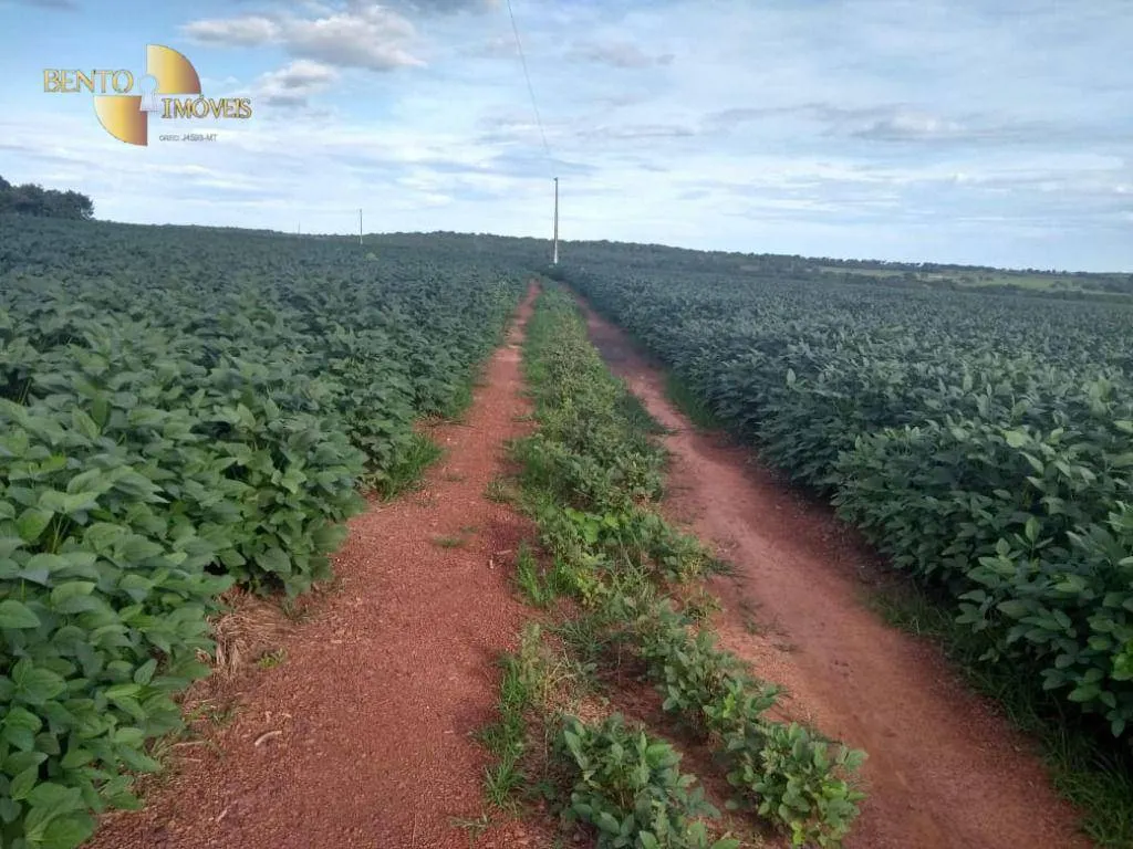 Fazenda à venda de 3.106 ha em Água Boa, MT, Brasil