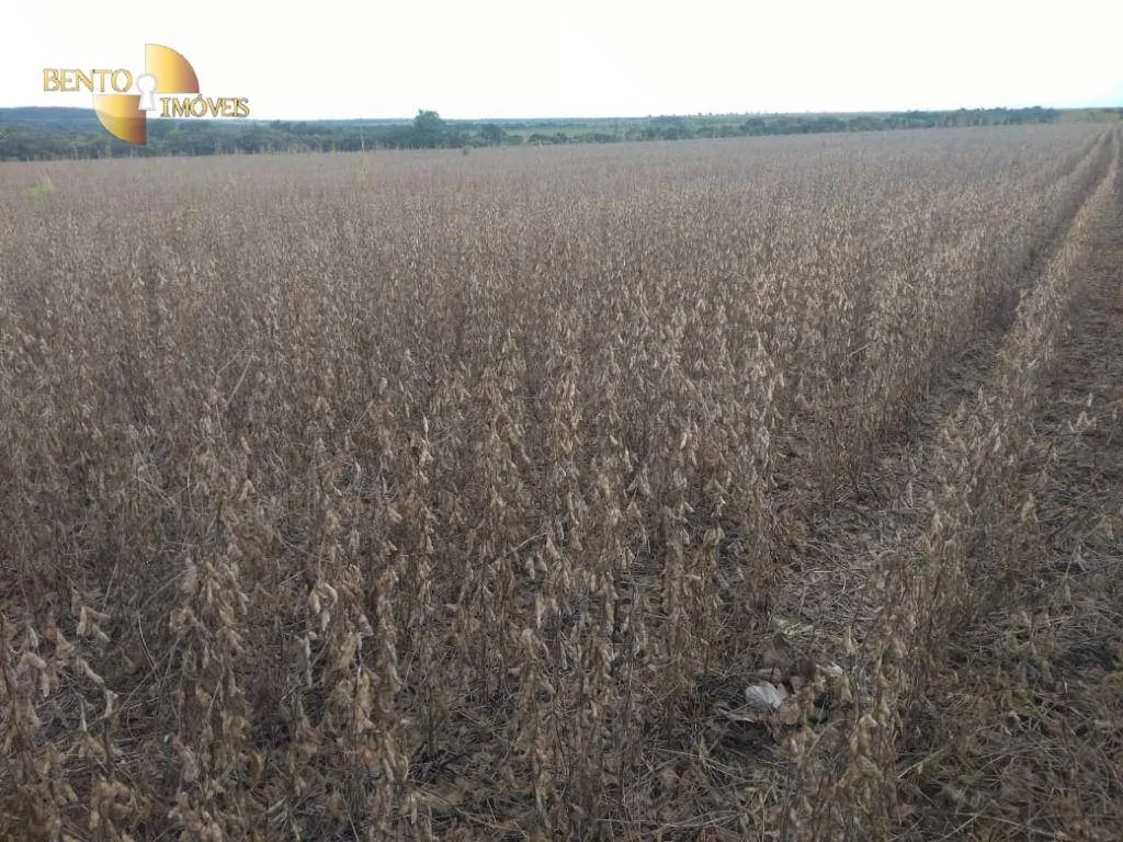 Fazenda à venda de 3.106 ha em Água Boa, MT, Brasil