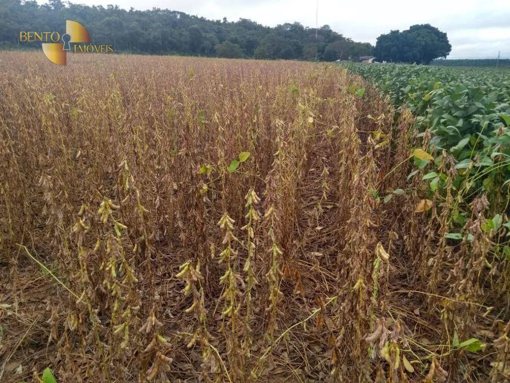Fazenda à venda de 3.106 ha em Água Boa, MT, Brasil