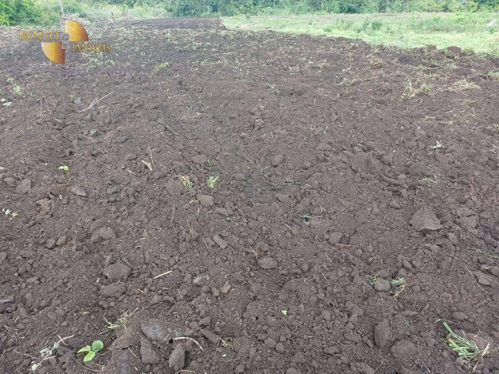 Fazenda à venda de 3.106 ha em Água Boa, MT, Brasil