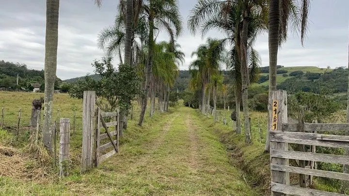 Chácara à venda de 9 ha em Santo Antônio da Patrulha, RS, Brasil