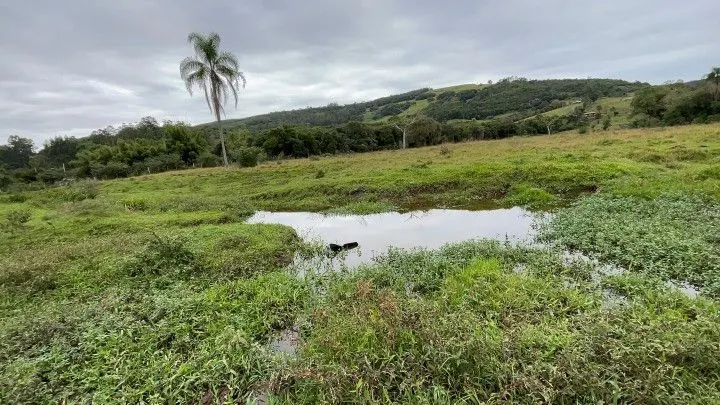 Chácara à venda de 9 ha em Santo Antônio da Patrulha, RS, Brasil