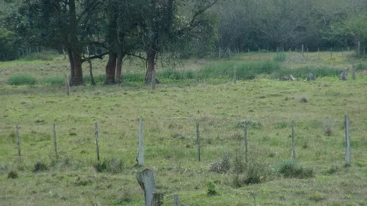 Chácara à venda de 9 ha em Santo Antônio da Patrulha, RS, Brasil