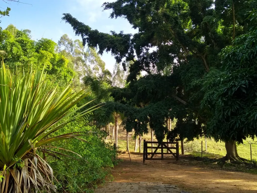 Fazenda à venda de 303 ha em Redenção da Serra, SP, Brasil