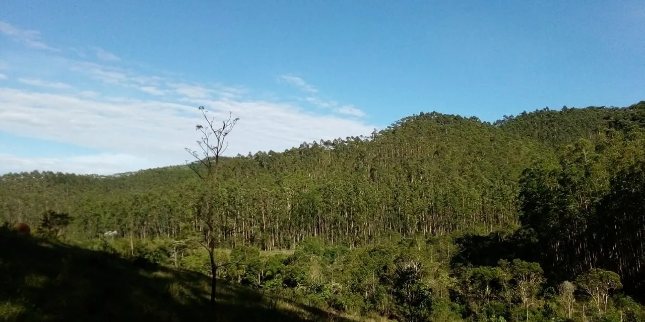 Fazenda à venda de 303 ha em Redenção da Serra, SP, Brasil