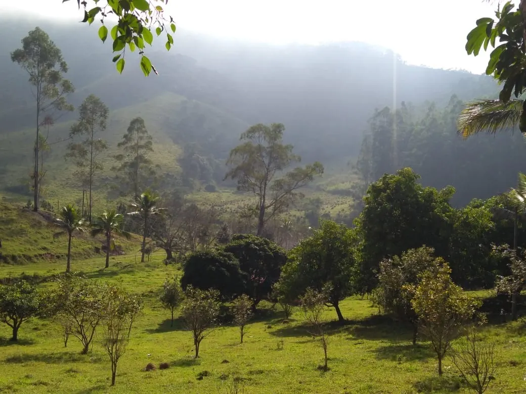 Fazenda à venda de 303 ha em Redenção da Serra, SP, Brasil