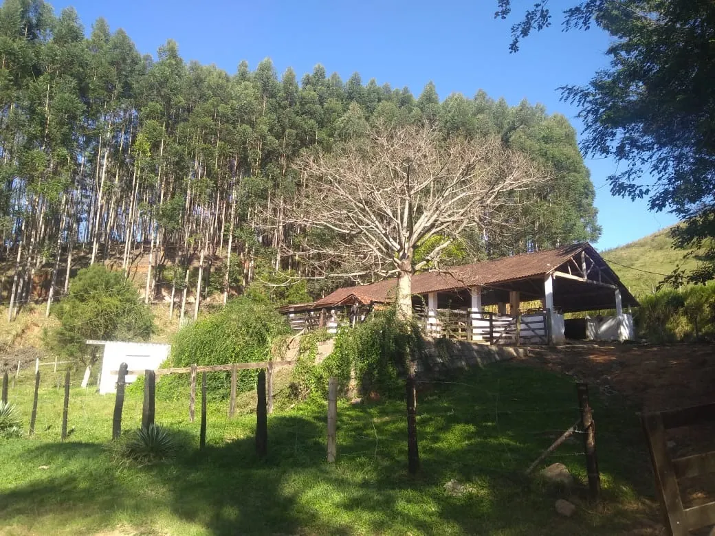 Fazenda à venda de 303 ha em Redenção da Serra, SP, Brasil