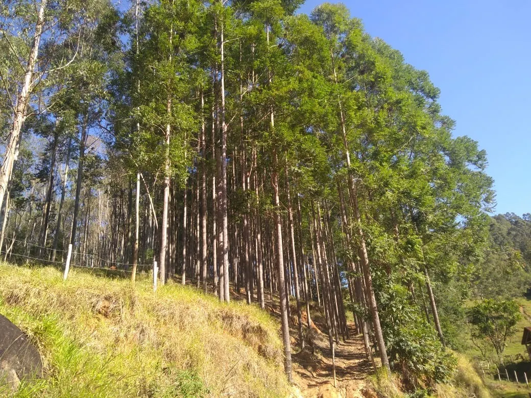 Fazenda à venda de 303 ha em Redenção da Serra, SP, Brasil
