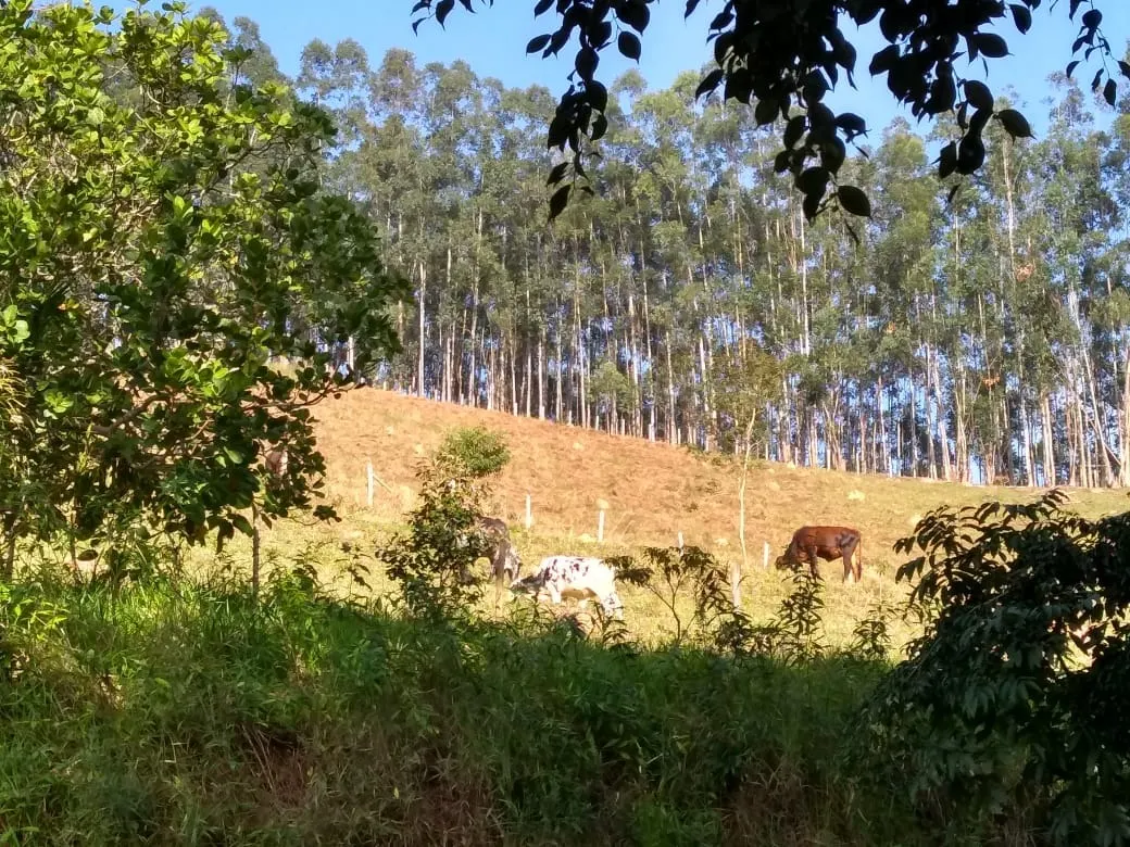 Fazenda à venda de 303 ha em Redenção da Serra, SP, Brasil