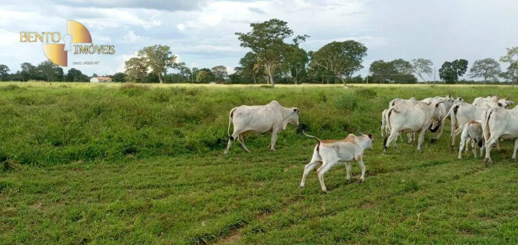 Fazenda à venda de 4.778 ha em Cocalinho, MT, Brasil