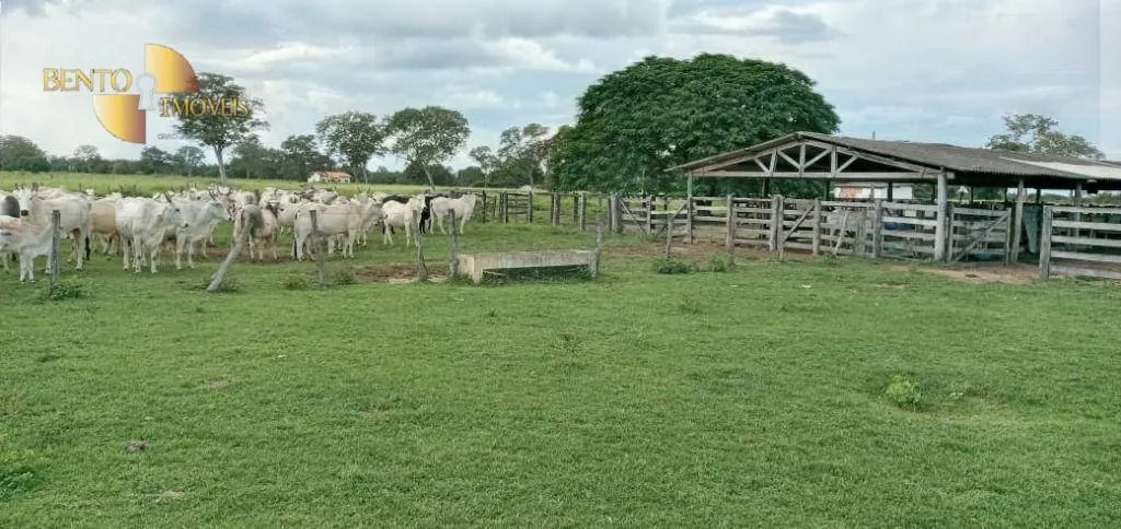 Fazenda à venda de 4.778 ha em Cocalinho, MT, Brasil