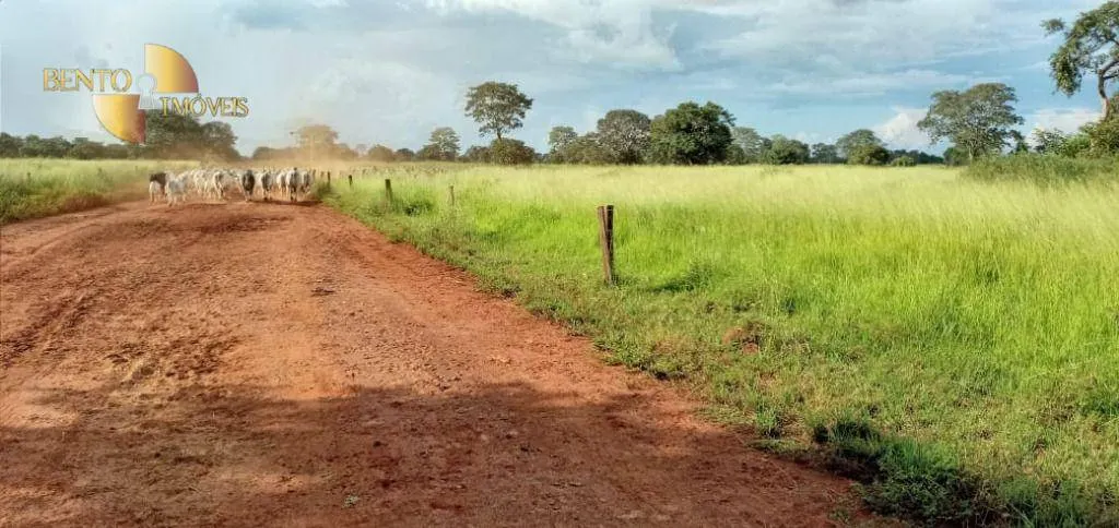 Fazenda à venda de 4.778 ha em Cocalinho, MT, Brasil
