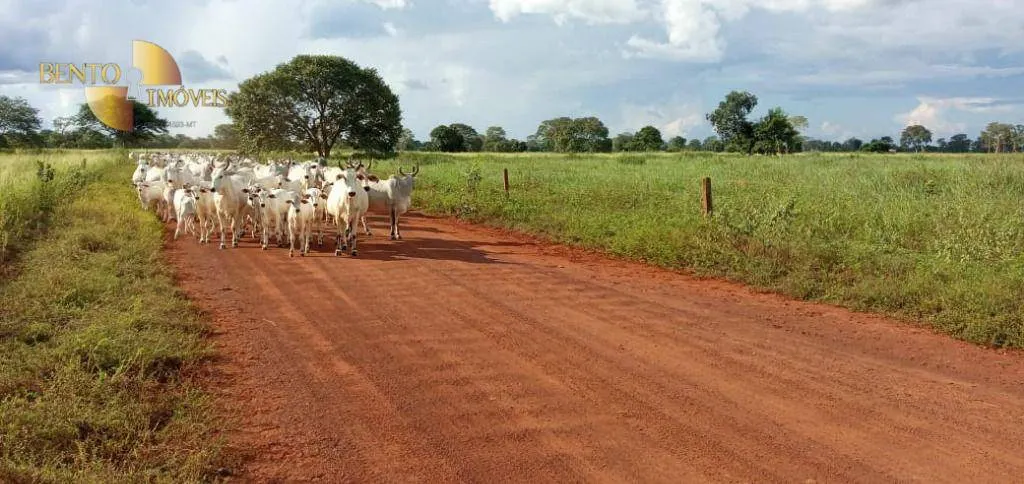 Fazenda à venda de 4.778 ha em Cocalinho, MT, Brasil