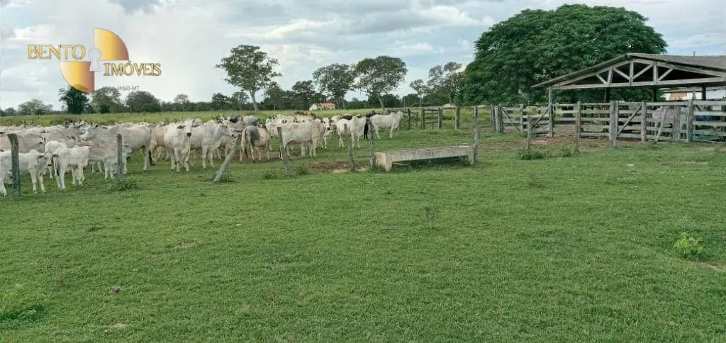 Fazenda à venda de 4.778 ha em Cocalinho, MT, Brasil