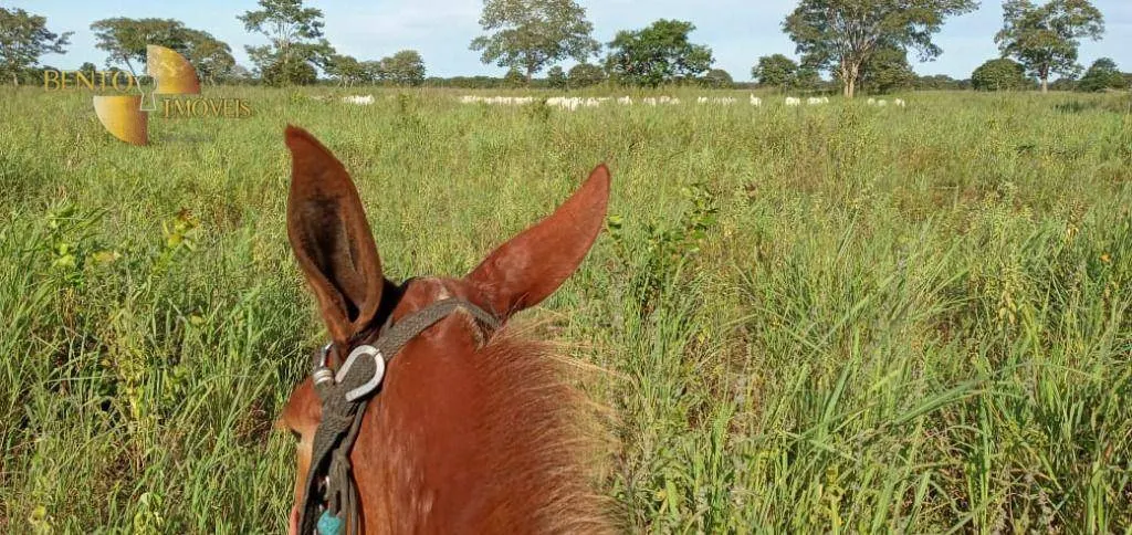 Fazenda à venda de 4.778 ha em Cocalinho, MT, Brasil