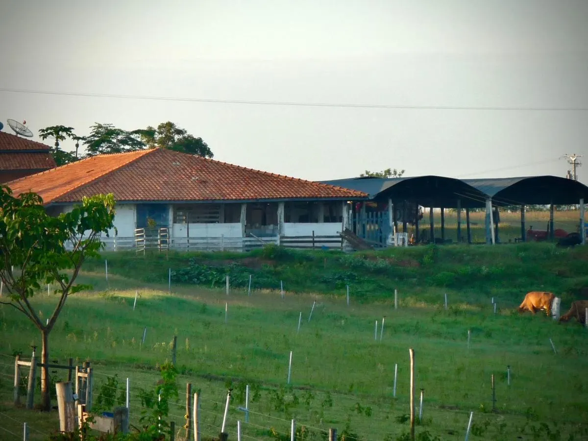 Small farm for sale of 79 acres in São Pedro, SP, Brazil