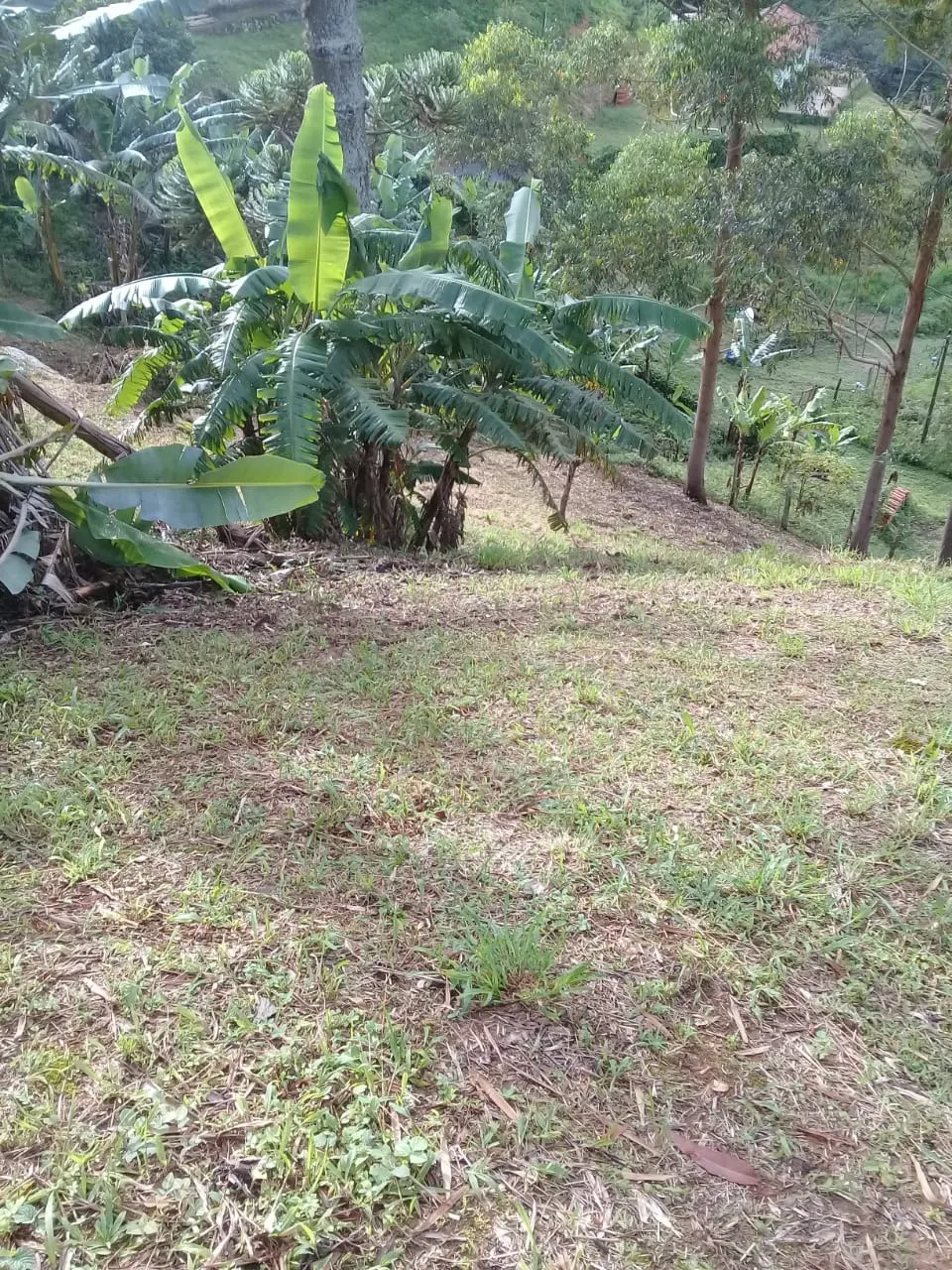 Chácara à venda de 2.153 m² em São Bento do Sapucaí, SP, Brasil
