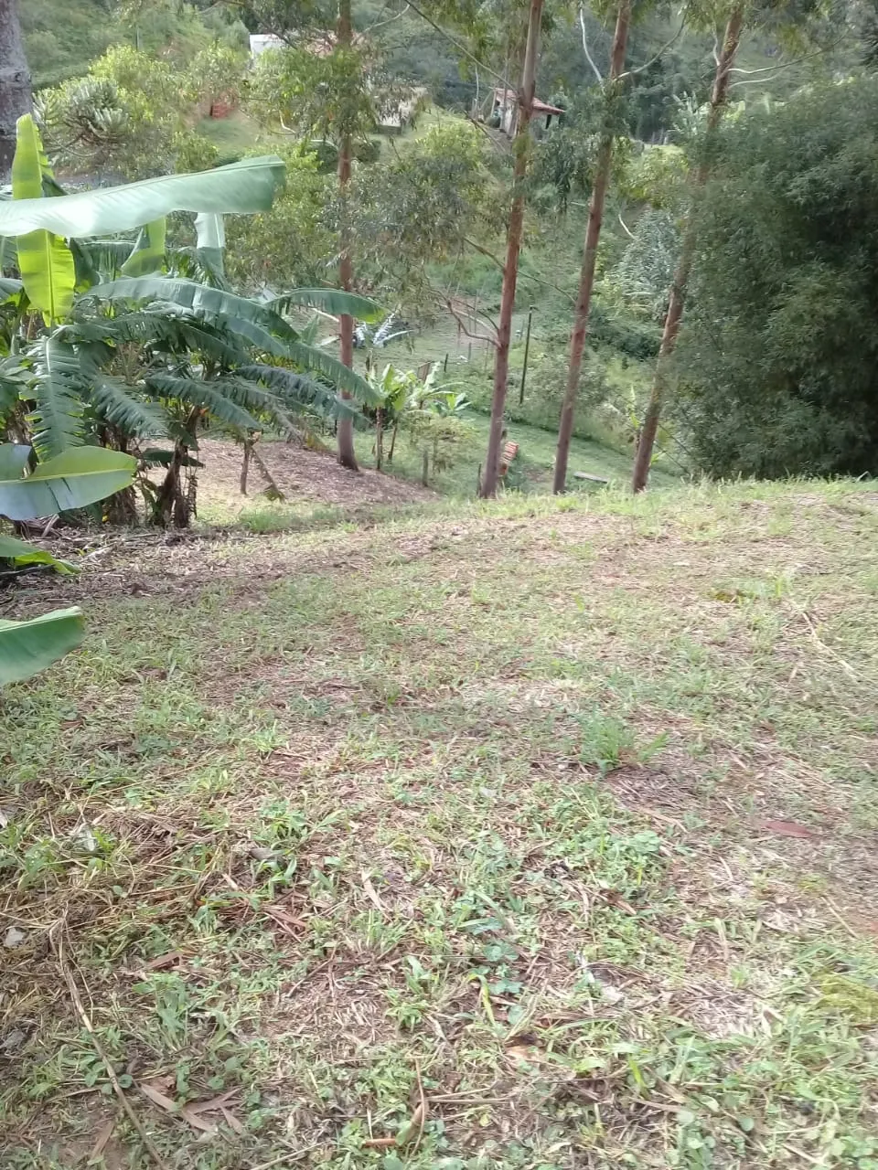 Chácara à venda de 2.153 m² em São Bento do Sapucaí, SP, Brasil