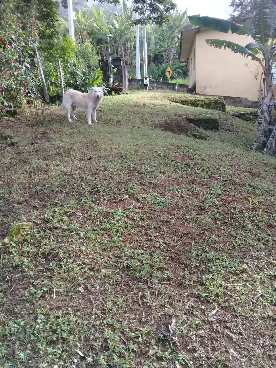 Chácara à venda de 2.153 m² em São Bento do Sapucaí, SP, Brasil