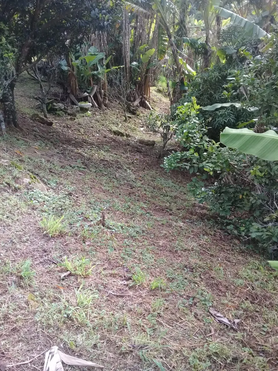 Chácara à venda de 2.153 m² em São Bento do Sapucaí, SP, Brasil
