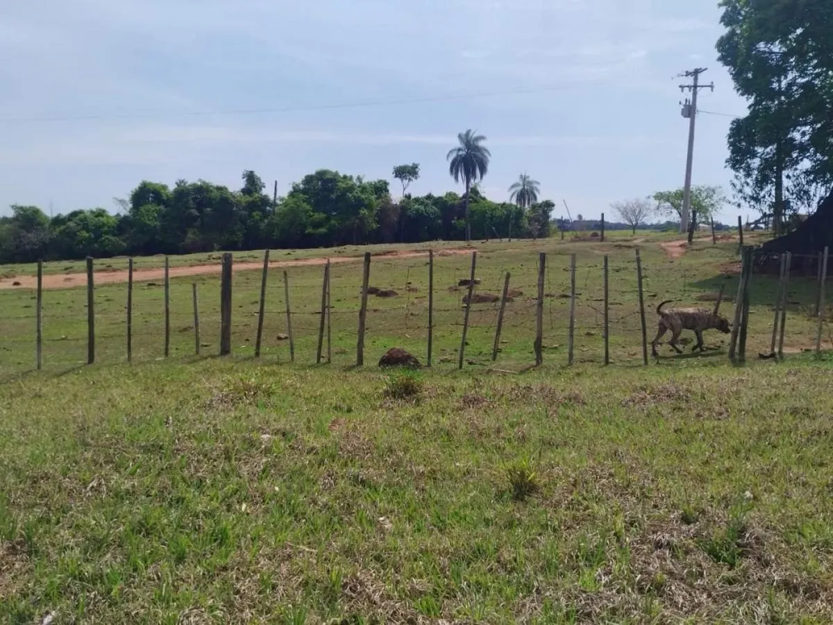 Sítio à venda de 13 ha em Cajuru, SP, Brasil